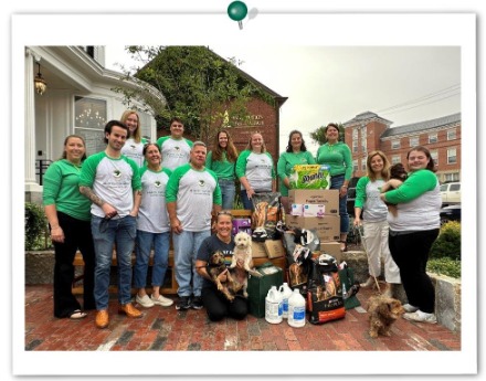 employees donated to Sweet Paws Rescue